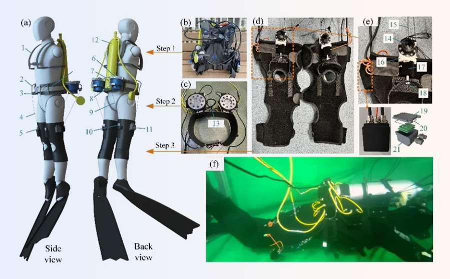 IEEE TRO | 柔性水下外骨骼：开启潜水新体验