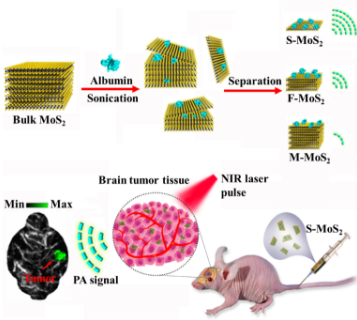先进院在脑胶质瘤光声分子成像探针领域取得重要进展
