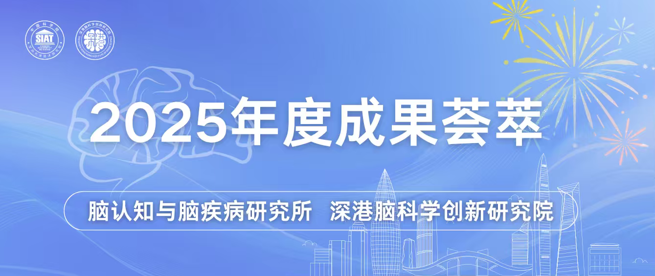 2025年度盘点丨深圳先进院脑所/深港脑院脑科学团队代表性研究成果荟萃
