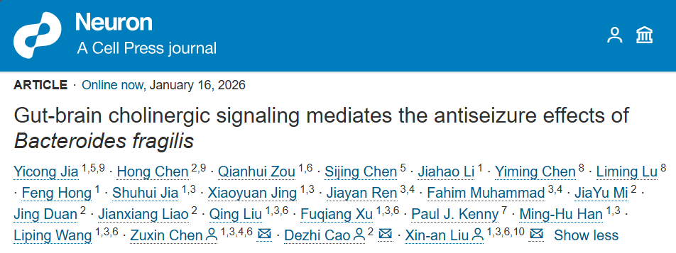 2026年深港脑院首篇Neuron｜刘欣安、陈祖昕团队联合发现益生菌干预癫痫的肠-脑新路径