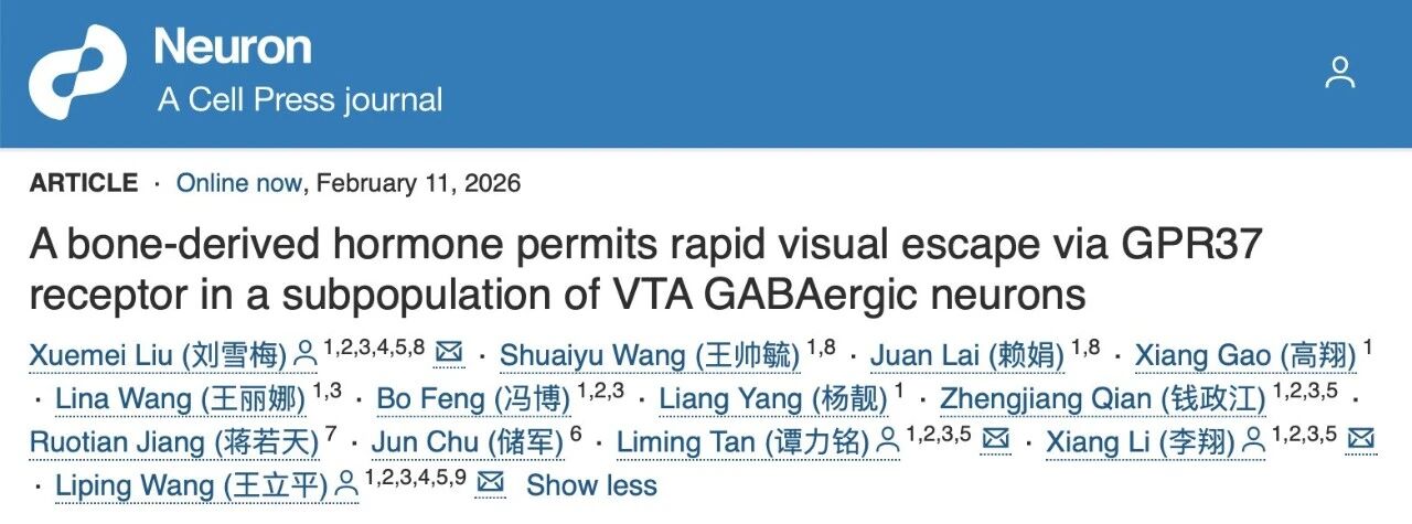 Neuron丨深港脑院王立平等团队发现骨源性激素—骨钙素作用经典奖赏中枢VTA启动逃跑反应（段树民/何舜平/蒋青点评）