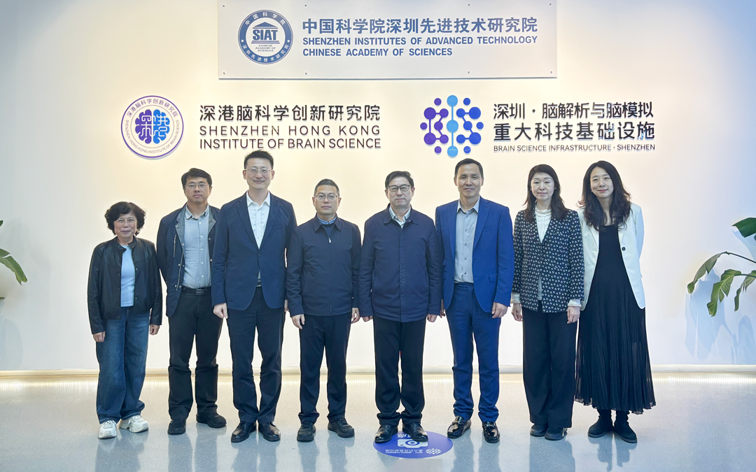 前瞻布局“十五五”丨脑所/深港脑院加速脑机接口攻关，脑设施赋能技术突破