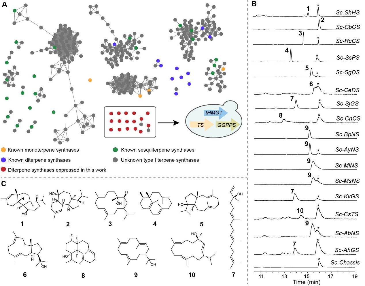 JACS | 深圳先进院卞光凯/华中农大徐娟/波恩大学Dickschat合作实现细菌二萜合酶的系统挖掘与结构导向功能互换